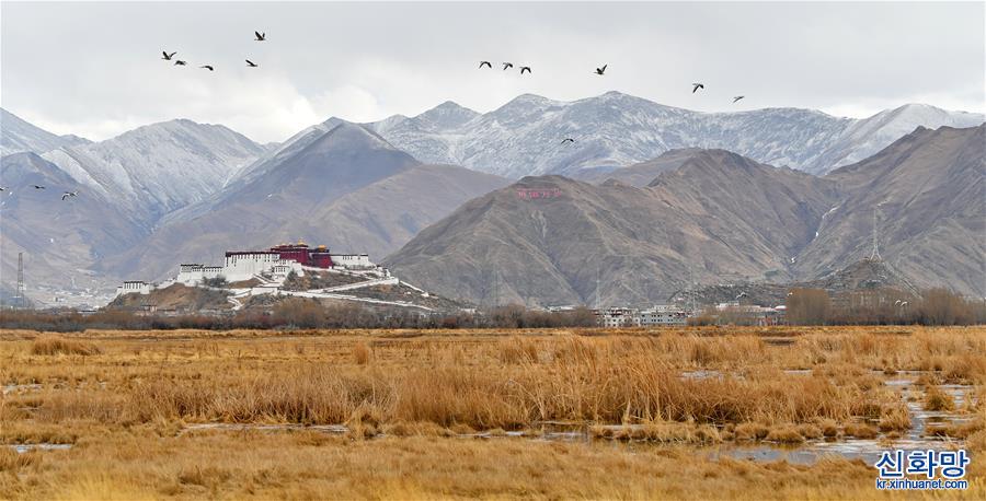 （美丽中国）（1）初春拉鲁湿地