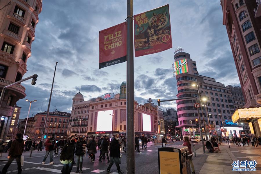 스페인 마드리드 수놓은 호랑이 일러스트 포스터